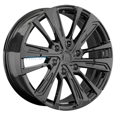 LS FG19