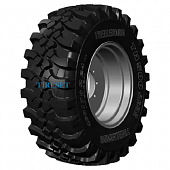 TH500
