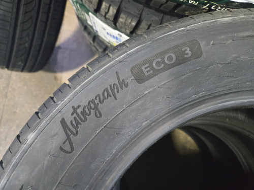 Шины Ikon 205/60R16 96V XL Autograph Eco 3 TL на tireset.ru