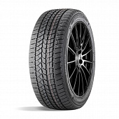 ДаблСтар  245/45/20  T 103 DW02